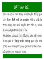 Hoạt động điều hòa imprinted genes trong quá trình phát triển của hạt arabidopsis thaliana 