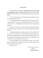 Xây dựng phương án xác định giá trị doanh nghiệp tại công ty TNHH MTV cao su EAHLEO   đắc lắc 