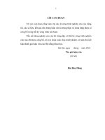 Hoàn thiện chi ngân sách nhà nước cấp huyện cho việc cung cấp hàng hóa, dịch vụ công trên địa bàn huyện triệu sơn, tỉnh thanh hóa 