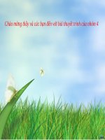 Ứng xử với rủi ro của một sản phẩm ngành chăn nuôi, trồng trọt 