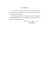 Giải pháp nhằm nâng cao hiệu quả công tác quản lý, bảo vệ rừng tại trung tâm phát triển lâm nghiệp hà nội 