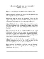 Giáo án tổng hợp   đề cương ôn tập sinh HKI 