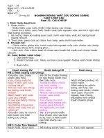 Giáo án tổng hợp sinh học 7 5 