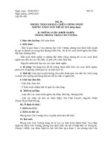 Giáo án tổng hợp  Lịch sử 8 Tiết 41 