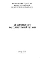 Đề cương môn đại cương văn hoá việt nam 