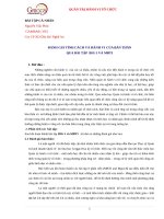 Bài tập cá nhân hành vi tổ chức  (2) 