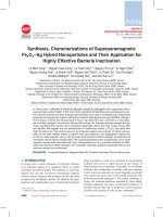 Synthesis, characterizations of superparamagnetic fe3o4–ag hybrid nanoparticles and their application for highly effective bacteria inactivation 