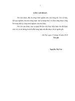 Nghiên cứu đề xuất phương án quy hoạch lâm nghiệp huyện nam đàn, tỉnh nghệ an 