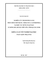 Nghiên cứu thành phần loài thân mềm chân bụng (mollusca gastropoda) tại khu vực rừng ngập mặn xã đồng rui, huyện tiên yên, tỉnh quảng ninh