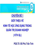 Bài giảng Chuyên đề 1: Giới thiệu về kinh tế học ứng dụng trong quản trị doanh nghiệp  PGS.TS Đỗ Phú Trần Tình
