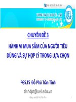 Bài giảng Chuyên đề 3: Hành vi mua sắm của người tiêu dùng và sự hợp lý trong lựa chọn  PGS.TS Đỗ Phú Trần Tình