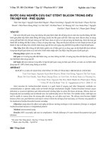 Buoc-dau-nghien-cuu-dat-stent-trong-dieu-tri-hep-khi-phe-quan