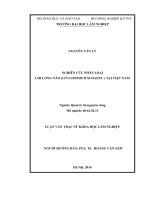 Nghiên cứu phân loại chi long não (cinnamomum schaefe ) tại việt nam 
