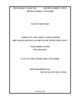 Nghiên cứu nhân giống và khảo nghiệm một số dòng bạch đàn lai mới có sinh trưởng triển vọng 