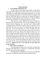 Nghiên cứu rủi ro cảm nhận đối với mua hàng thời trang trực tuyến (ttt) 