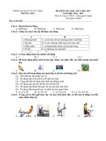 KIEM TRA GIUA HK1 TIN 6 VNEN 