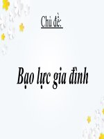 Bài tập môn giới và phát triển chủ đề : Bạo Lực gia đình