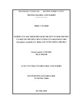 Nghiên cứu đặc điểm biến dị di truyền về sinh trưởng và một số chỉ tiêu chất lượng của bạch đàn URO (eucalyptus urophylla s t  blake) tại vườn giống thế hệ 2 