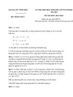 Đề thi học sinh giỏi Hóa lớp 10