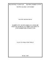 Nghiên cứu tuyển chọn cưa xăng để chặt hạ gỗ rừng tự nhiên tại công ty lâm nghiệp đắk tô kon tum 