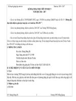 Kế hoạch giảng dạy môn tin học 9 2017 