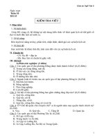 Giáo án tổng hợp  Lịch sử 6 tuần 10