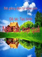 Bài giảng điện tử mầm non đề tài Tạo hình nặn các loại quả (lớp Lá)