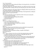 Bộ đề kiểm tra 15 phút học kì 1 môn tin học 9 hình thức trắc nghiệm 