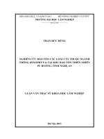 Nghiên cứu bảo tồn các loài cây thuộc ngành thông (pinophyta) tại khu bảo tồn thiên nhiên pù huống, tỉnh nghệ an 