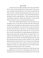 Nghiên cứu đề xuất phương án quy hoạch bảo vệ và phát triển rừng huyện như xuân, tỉnh thanh hóa đến năm 2020 