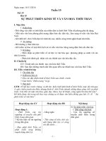 Giáo án tổng hợp   lịch sử 7   tuần 15 