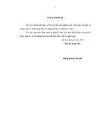 Nghiên cứu giải pháp phát triển mô hình tăng thu nhập dựa vào rừng tại một số tỉnh miền núi phía bắc 