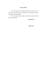 Giải pháp thúc đẩy quá trình thực hiện chương trình xây dựng nông thôn mới huyện quốc oai, thành phố hà nội 