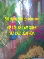 Bài giảng điện tử mầm non đề tài Bé làm quen với các loại hoa (lớp Lá)
