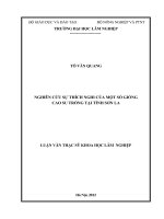 Nghiên cứu sự thích nghi của một số giống cao su trồng tại tỉnh sơn la 