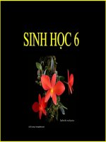 Giáo án bài giảng điện tử THCS bai giang dien tu 