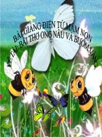 Bài giảng điện tử mầm non đề tài Bài thơ ong nâu và bướm vàng (lớp Lá)