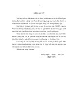 Một số giải pháp góp phần cải thiện sinh kế cho các hộ gia đình thuộc diện tái định cư sau khi nhà nước thu hồi đất trên địa bàn huyện lương sơn 