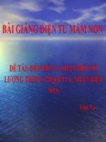 Bài giảng điện tử mầm non đề tài Đếm đến 6, nhận biết số lượng trong phạm vi 6, nhận biết số 6 (lớp Lá)