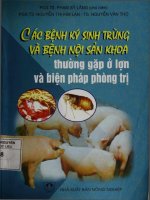 Các bệnh ký sinh trùng và bệnh nội sản khoa thường gặp ở lợn và biện pháp phòng trị 