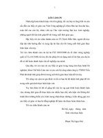 Ảnh hưởng của các vị trí khác nhau trong thân cây đến chất lượng ván bóc từ gỗ bạch đàn 