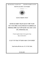 Đánh giá hiện trạng quần thể vượn má vàng phía nam (nomascus gabriellae thomas 1909) tại vườn quốc gia chư yang sin, tỉnh đắk lắk 