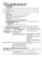 Giáo án tổng hợp sinh học 7 bài 48 