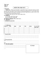 Giáo án tổng hợp  Lịch sử 6 tuần 19