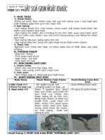 Giáo án tổng hợp sinh học 7 bài 17 