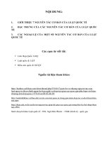 BÀI TIỂU LUẬN 07 NGUYÊN TẮC CƠ BẢN CỦA LUẬT QUỐC TẾ