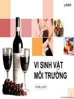 VI SINH VAT MOI TRUONG 23..8.2017