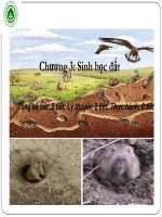 CHƯƠNG 3  SINH học đất FINAL