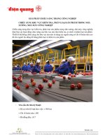 GPCS CHO KHU VUCKIEM TRA PHAN LOAI SAN PHAM v01 151012 NCPT THAOTDQ