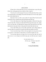 Giải pháp nâng cao chất lượng tín dụng tại chi nhánh ngân hàng nông nghiệp và phát triển nông thôn thị trấn xuân mai, chương mỹ, thành phố hà nội 